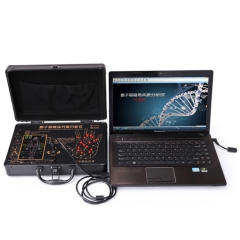 MY-S052J 6th Generation Professional Body Health Quantum Resonance Magnetic Analyzer software free download price with Test Report