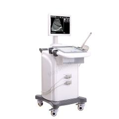 MY-A019 Hospital Clinic Standard Trolley Ultrasound Scanner with convex probe